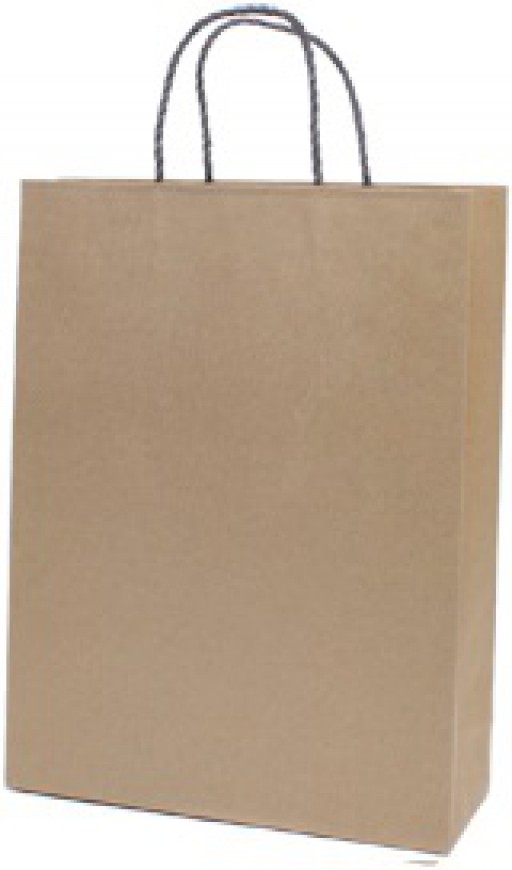 Shopping Bags Large 50 Count Clear Gift Bag with Handle 16 x 12 x 6 Gusset with Cardboard for Retail Merchandising 